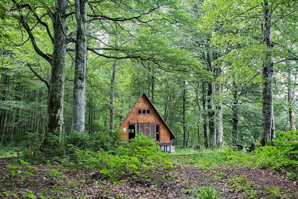 Wonderland Chakvi Exterior foto